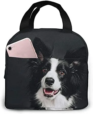 Bolsa para el almuerzo con dis - Women'S Young Bags reseña y precio